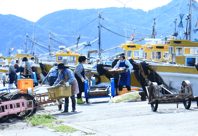 江戸後期には17戸だった小さな漁村が時を経て独自の人情味あふれる港に。ここはその文化を継ぐ新たな交流拠点です。