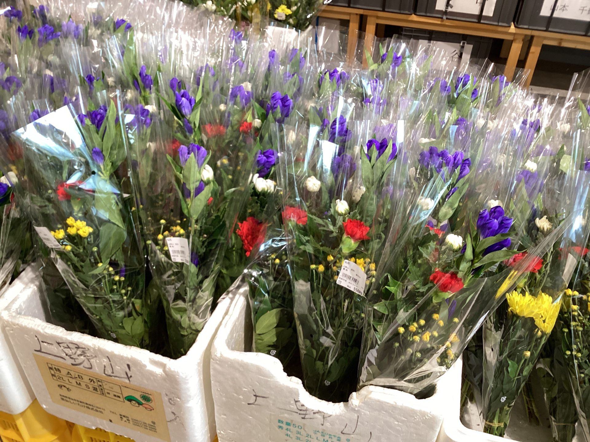 img_4826.jpg img_4826.jpg