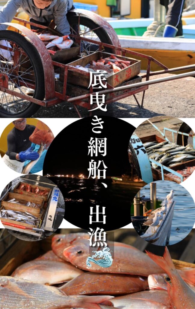 11/20（木）　昨日、本日と連続出漁‼️